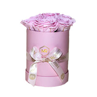 Cylinder Box Preserved Roses Miami Florida.. Preserved Roses Robbin Legacy Light Pink Pink 