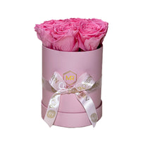 Cylinder Box Preserved Roses Miami Florida.. Preserved Roses Robbin Legacy Pink Pink 