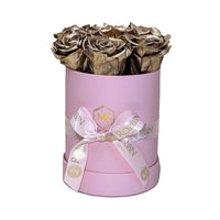 Cylinder Box Preserved Roses Miami Florida.. Preserved Roses Robbin Legacy Gold Pink 