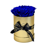 Cylinder Box Preserved Roses Miami Florida.. Preserved Roses Robbin Legacy Blue Gold 
