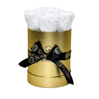 Cylinder Box Preserved Roses Miami Florida.. Preserved Roses Robbin Legacy White Gold 