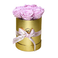 Cylinder Box Preserved Roses Miami Florida.. Preserved Roses Robbin Legacy Light Pink Gold 