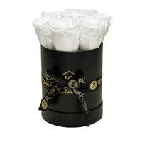 Cylinder Box Preserved Roses Miami Florida.. Preserved Roses Robbin Legacy White Black 
