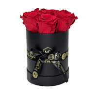 Cylinder Box Preserved Roses Miami Florida.. Preserved Roses Robbin Legacy Red Black 