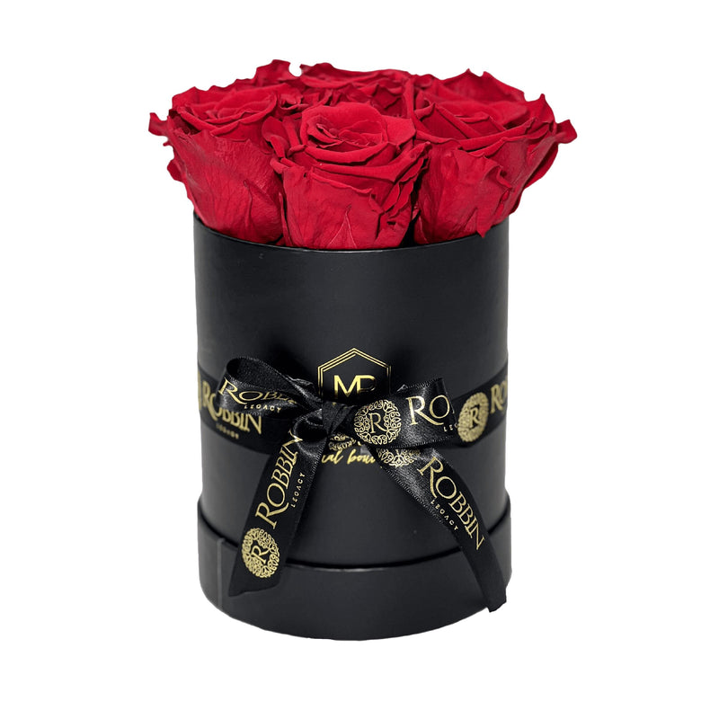 Cylinder Box Preserved Roses Miami Florida.. Preserved Roses Robbin Legacy Red Black 