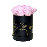 Cylinder Box Preserved Roses Miami Florida.. Preserved Roses Robbin Legacy Pink Black 