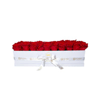 Rectangular Box Preserved Roses Miami Florida.. Preserved Roses Robbin Legacy Red White 
