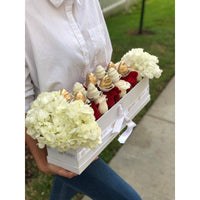 Fresh Roses Flowers and Chocolate Covered Strawberries Miami Florida. Chocolate Covered Strawberries robbin legacy 