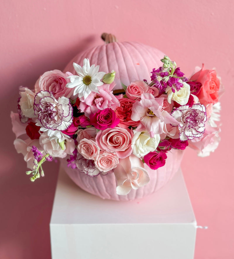 Chic PINK Pumpkin Robbin Legacy 