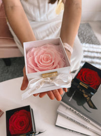 1 Preserved Rose Box Miami Florida and Nationwide.. Preserved Roses Robbin Legacy Pink White 
