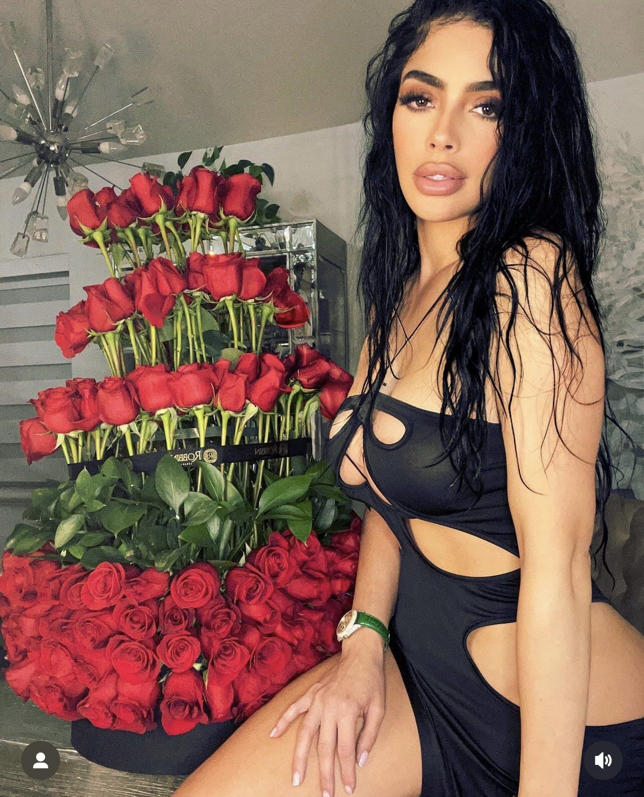 Big Dream Fresh Flowers Miami Florida.. Fresh Flowers Robbin Legacy 