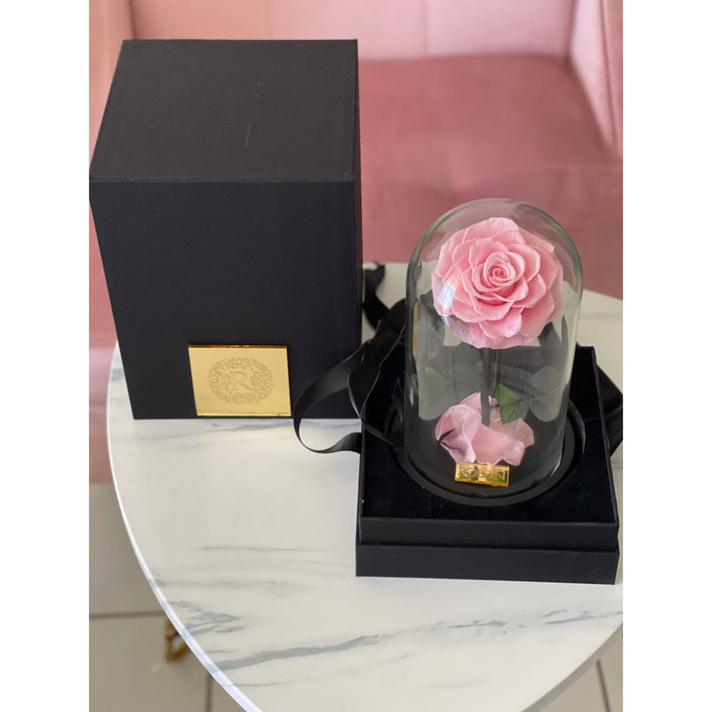 1 Preserved Rose True Love pink Miami Florida and Nationwide. Preserved Roses Robbin Legacy 