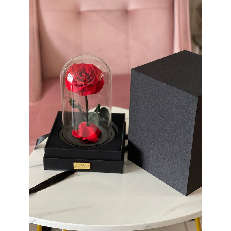 1 Preserved Rose True Love Red Miami Florida and Nationwide.. Preserved Roses Robbin Legacy 