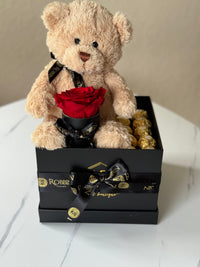 1 Preserved Rose Teddy Bear and Ferrero Chocolate Miami Florida and Nationwide.. Gifts Boxes Robbin Legacy 