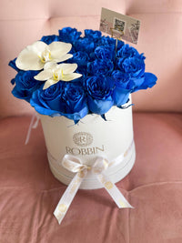 16 - 22 Fresh Roses and Orchid Miami Florida.. Fresh Flowers robbin legacy White Royal Blue 