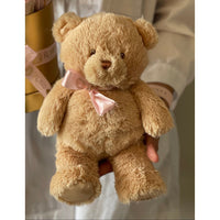 Teddy Bear Robbin Legacy Complementary Items. Complementary Items Robbin Legacy 