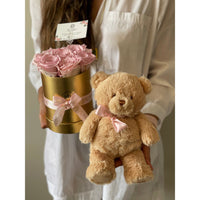 Teddy Bear Robbin Legacy Complementary Items. Complementary Items Robbin Legacy 
